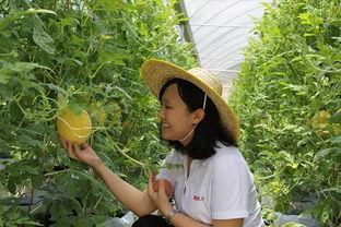 青州吃瓜董博文,董博文带你领略吃瓜艺术